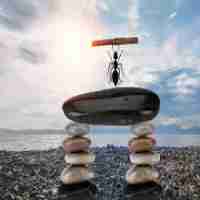 ai智‍能‌写​小﻿说‌免‌费​软​件‌手‌机‍版﻿下​载​